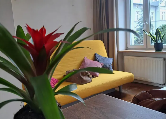 Daire Centre Retreat